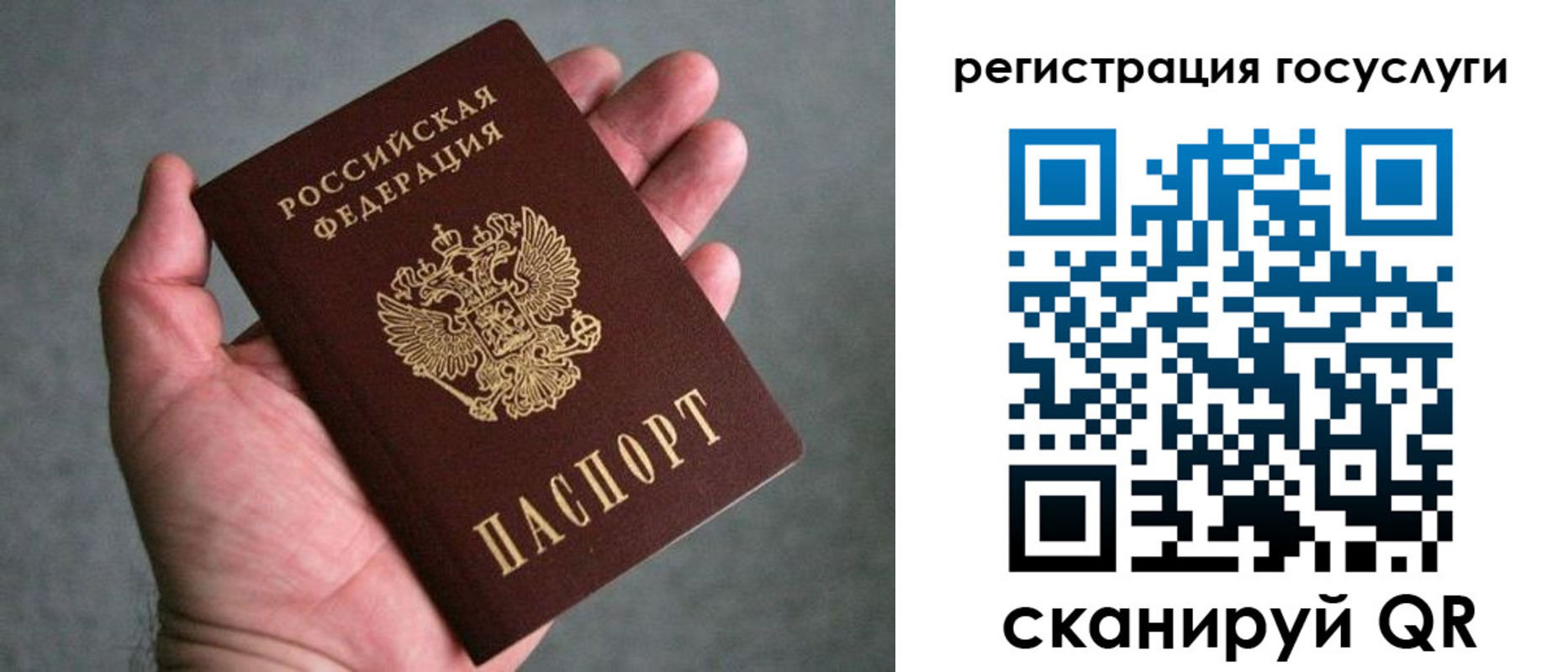прописка поиск в Алтае